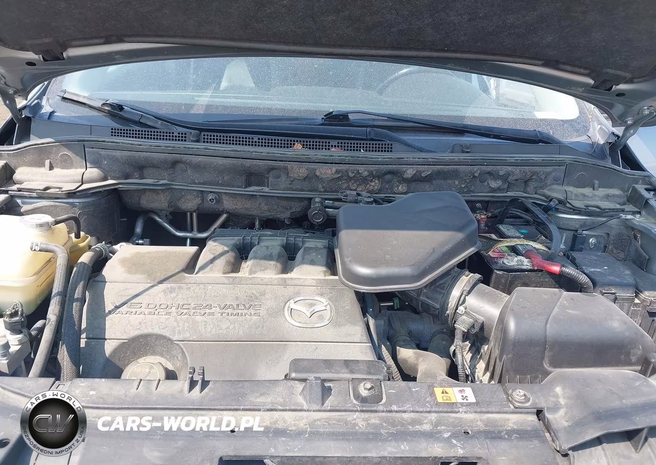 2011 Mazda Cx-9 Grand Touring VIN:JM3TB3DV1B0317584 - 10