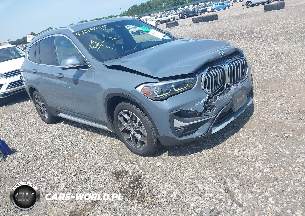 2020 BMW X1 xDrive28I VIN:WBXJG9C07L5P81867 - 1