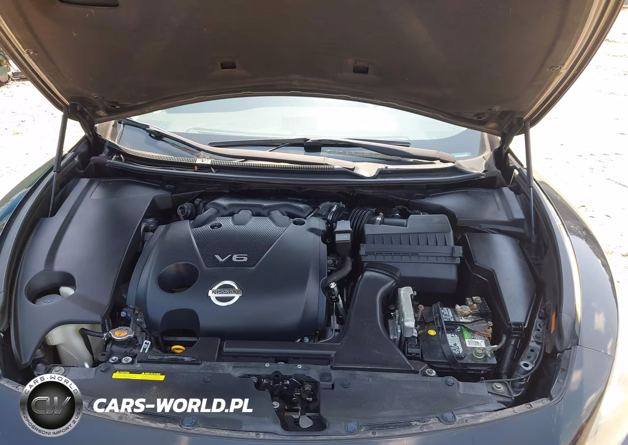 2014 Nissan Maxima 3.5 Sv VIN:1N4AA5AP1EC906809 - 10