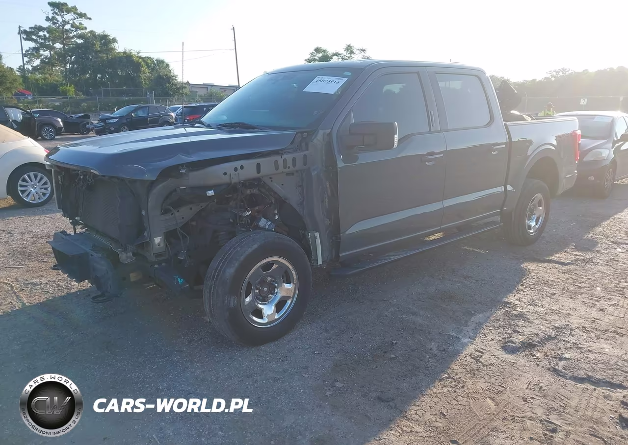 2021 Ford F-150 King Ranch-Lariat-Limited-Platinum-Tremor-Xl-Xlt VIN:1FTFW1E88MFC47895 - 2