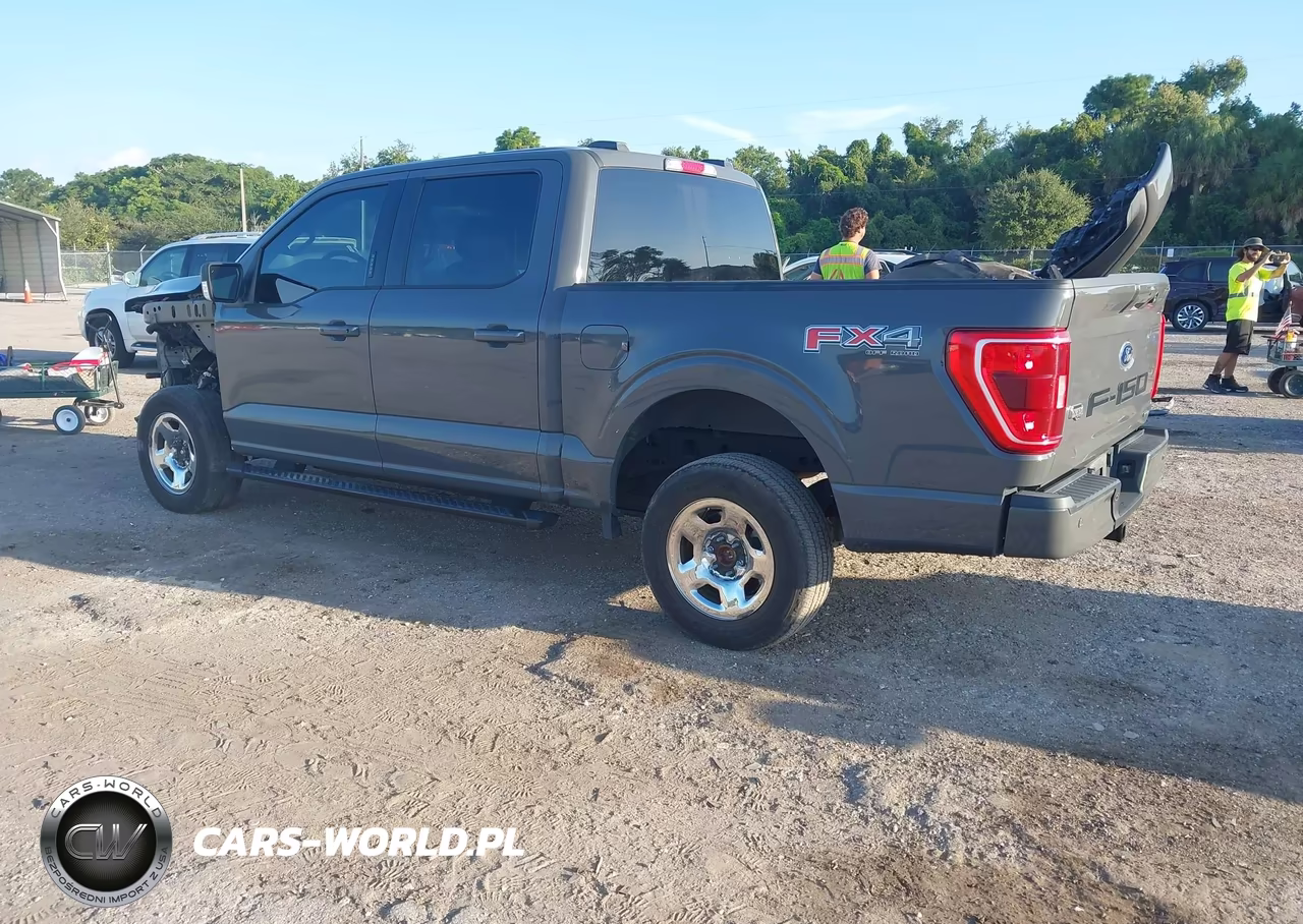 2021 Ford F-150 King Ranch-Lariat-Limited-Platinum-Tremor-Xl-Xlt VIN:1FTFW1E88MFC47895 - 3