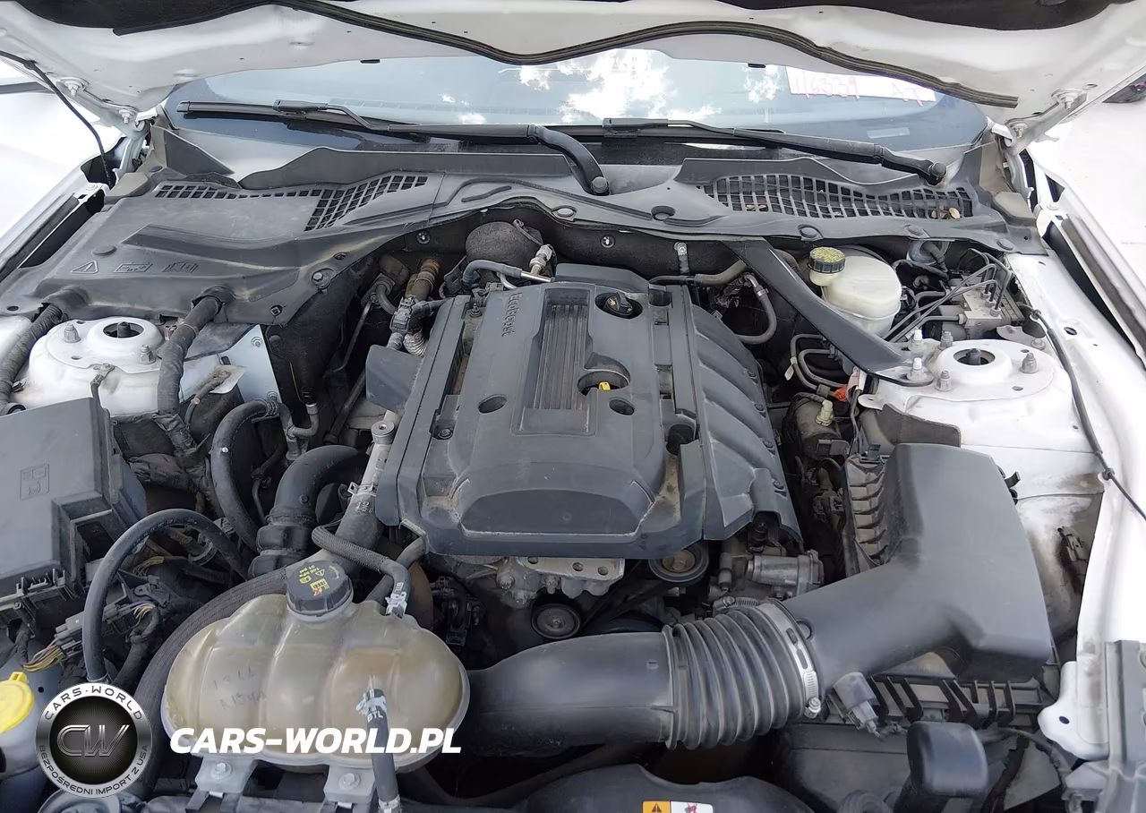 2016 Ford Mustang Ecoboost VIN:1FA6P8TH4G5278604 - 10