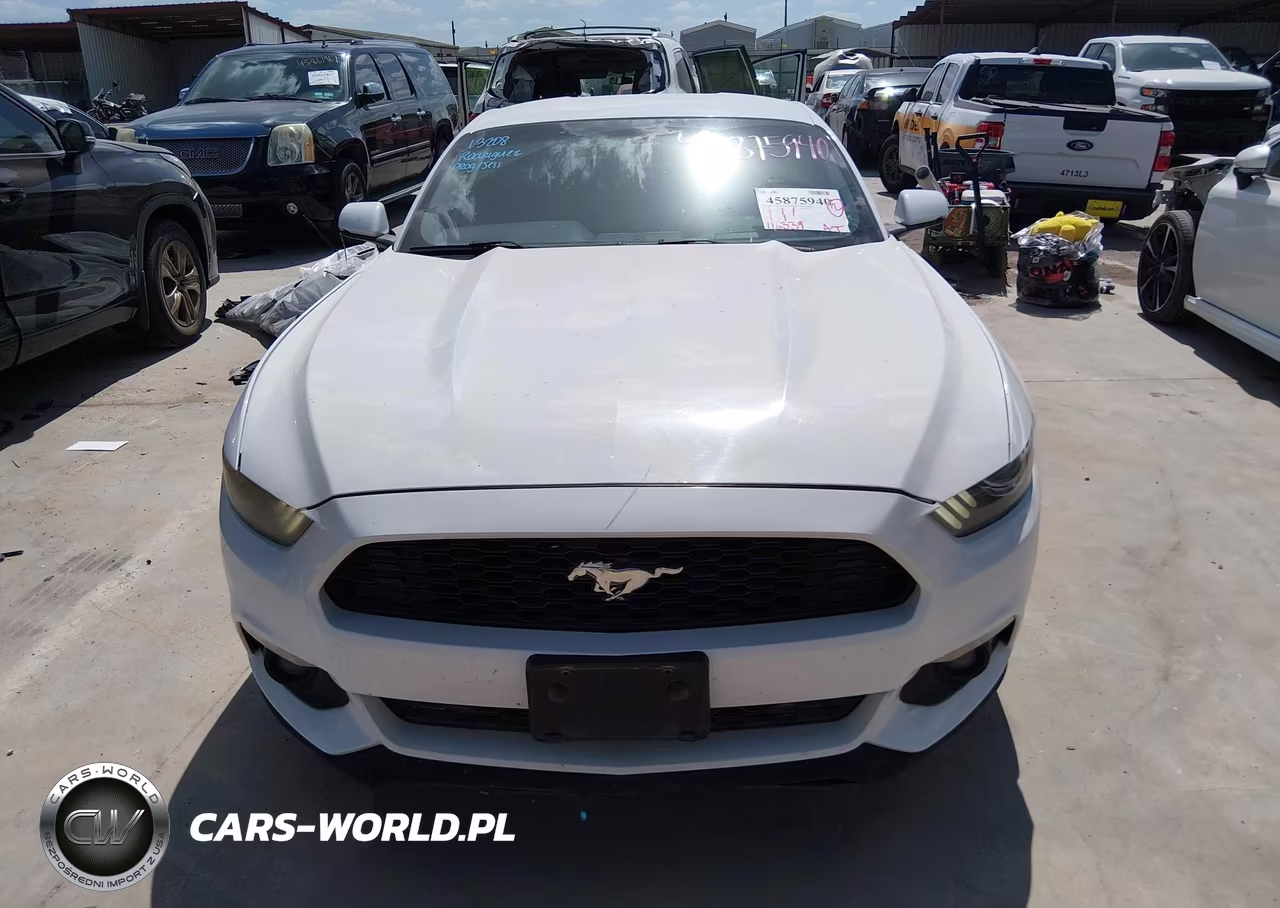 2016 Ford Mustang Ecoboost VIN:1FA6P8TH4G5278604 - 12