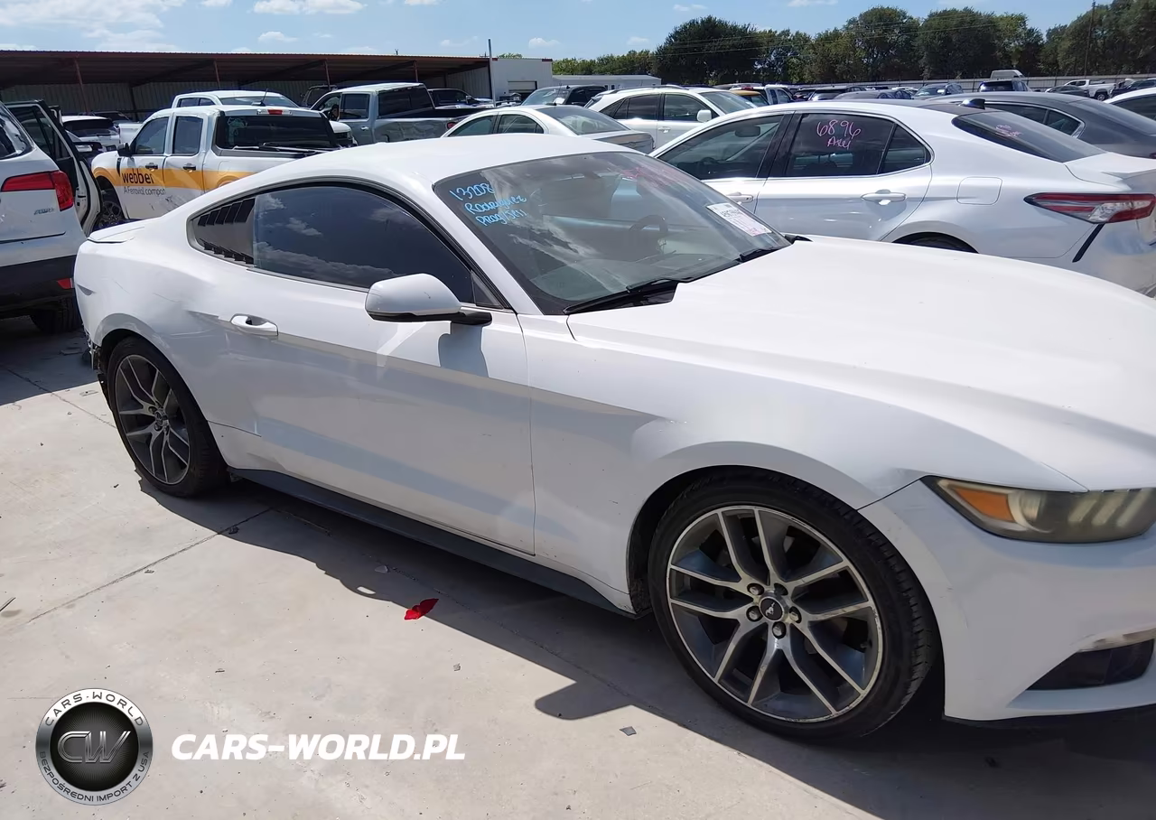 2016 Ford Mustang Ecoboost VIN:1FA6P8TH4G5278604 - 13