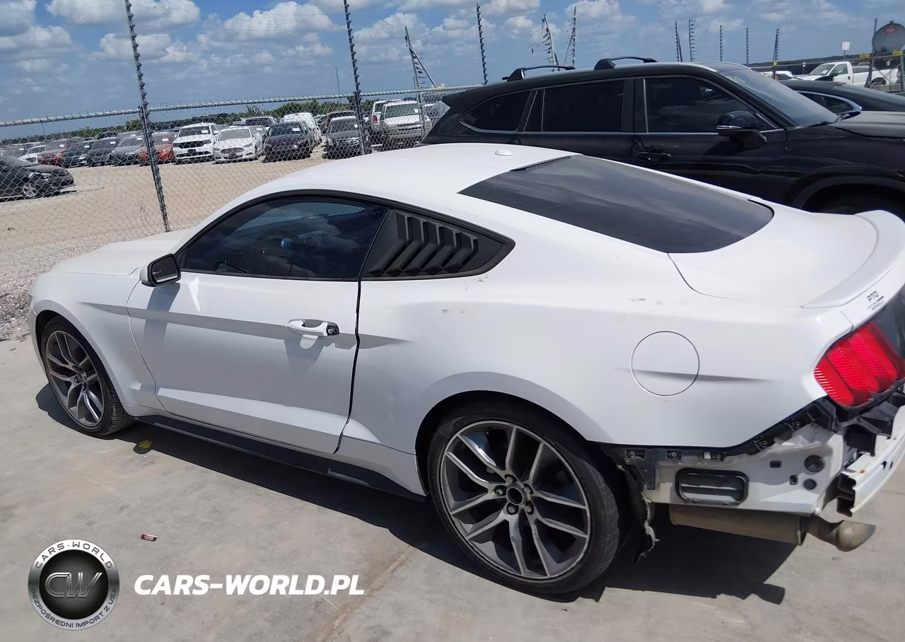 2016 Ford Mustang Ecoboost VIN:1FA6P8TH4G5278604 - 14