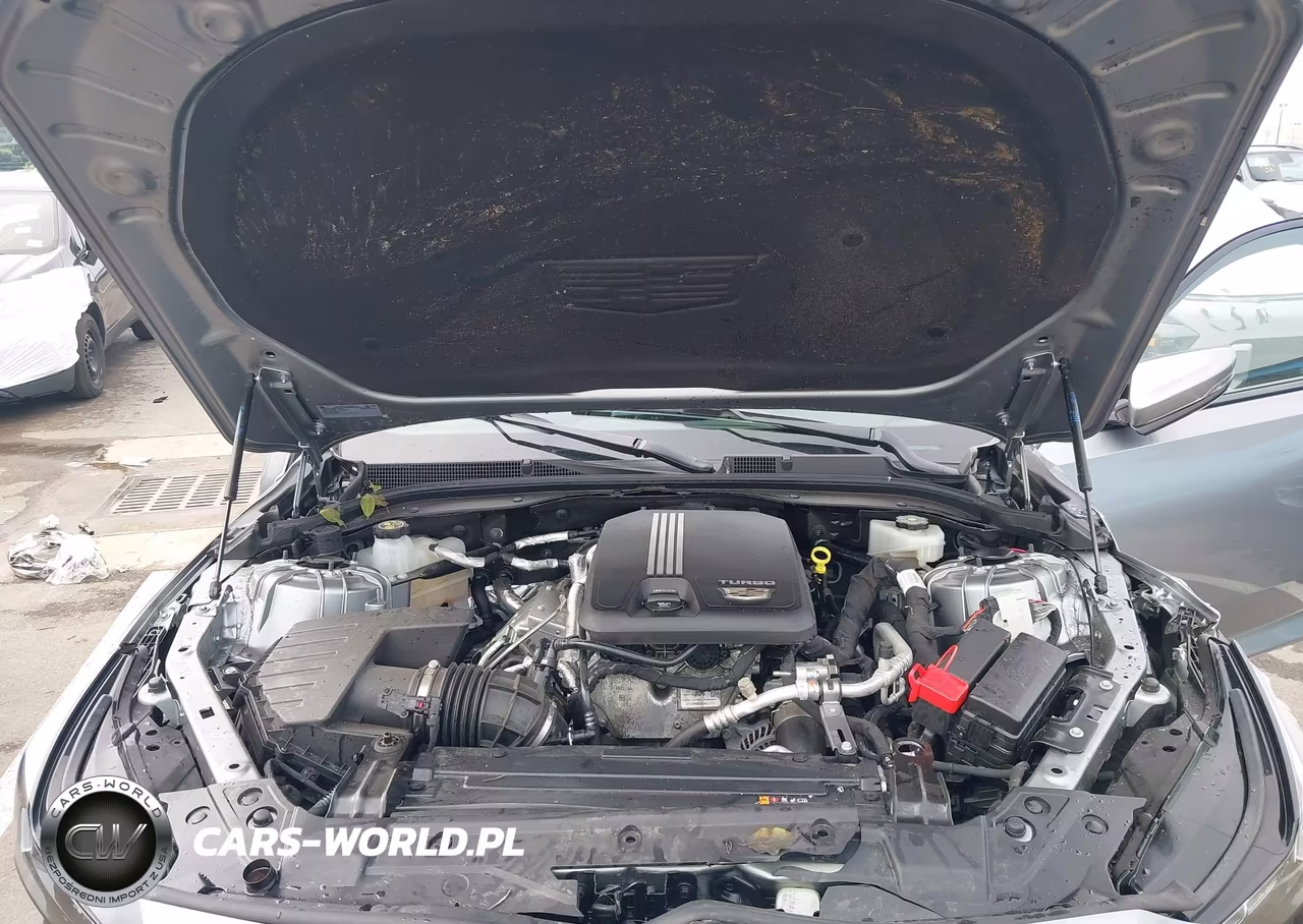 2023 Cadillac Ct5 Sport VIN:1G6DP5RKXP0139676 - 10