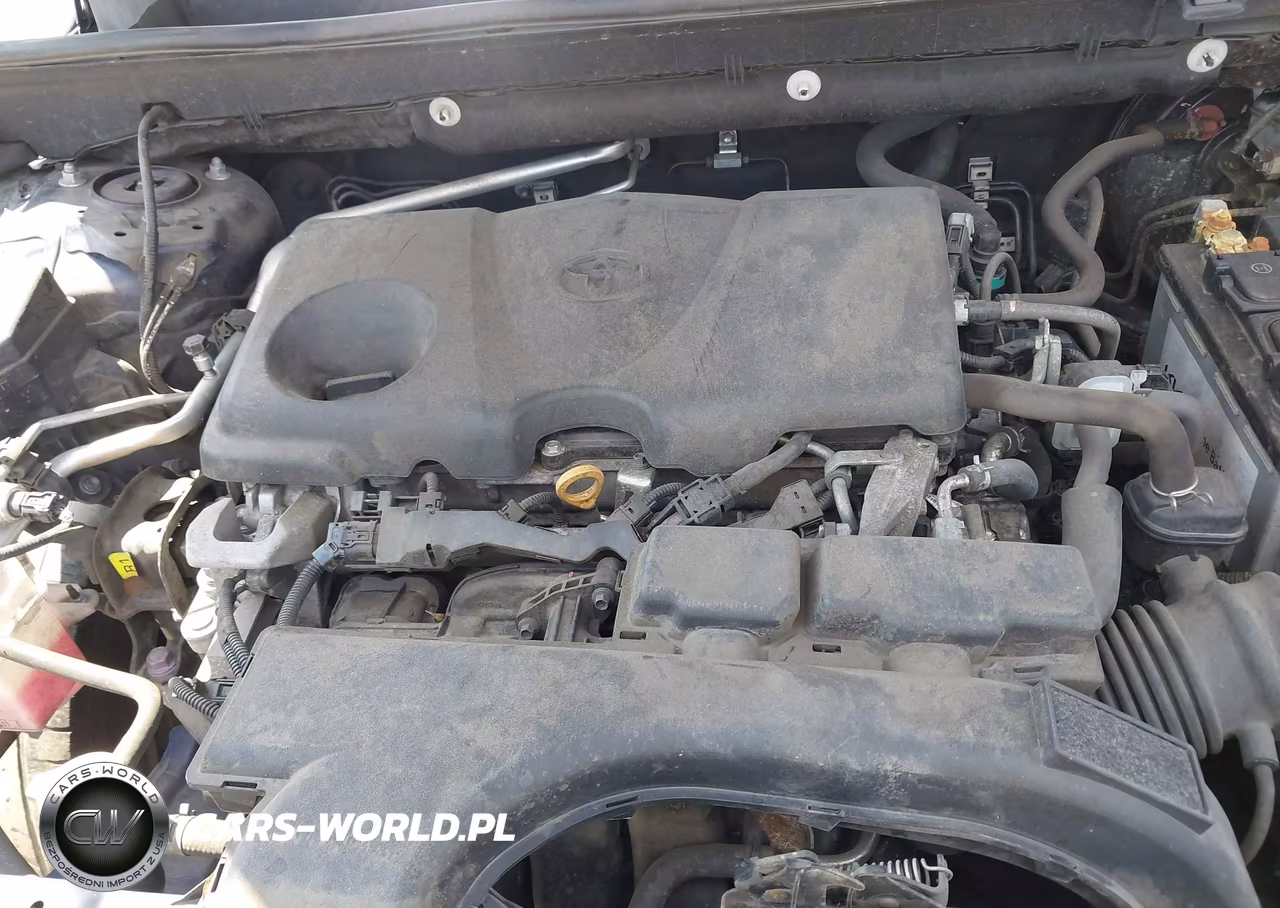 2019 Toyota Rav4 Xle VIN:2T3W1RFV7KC022821 - 10