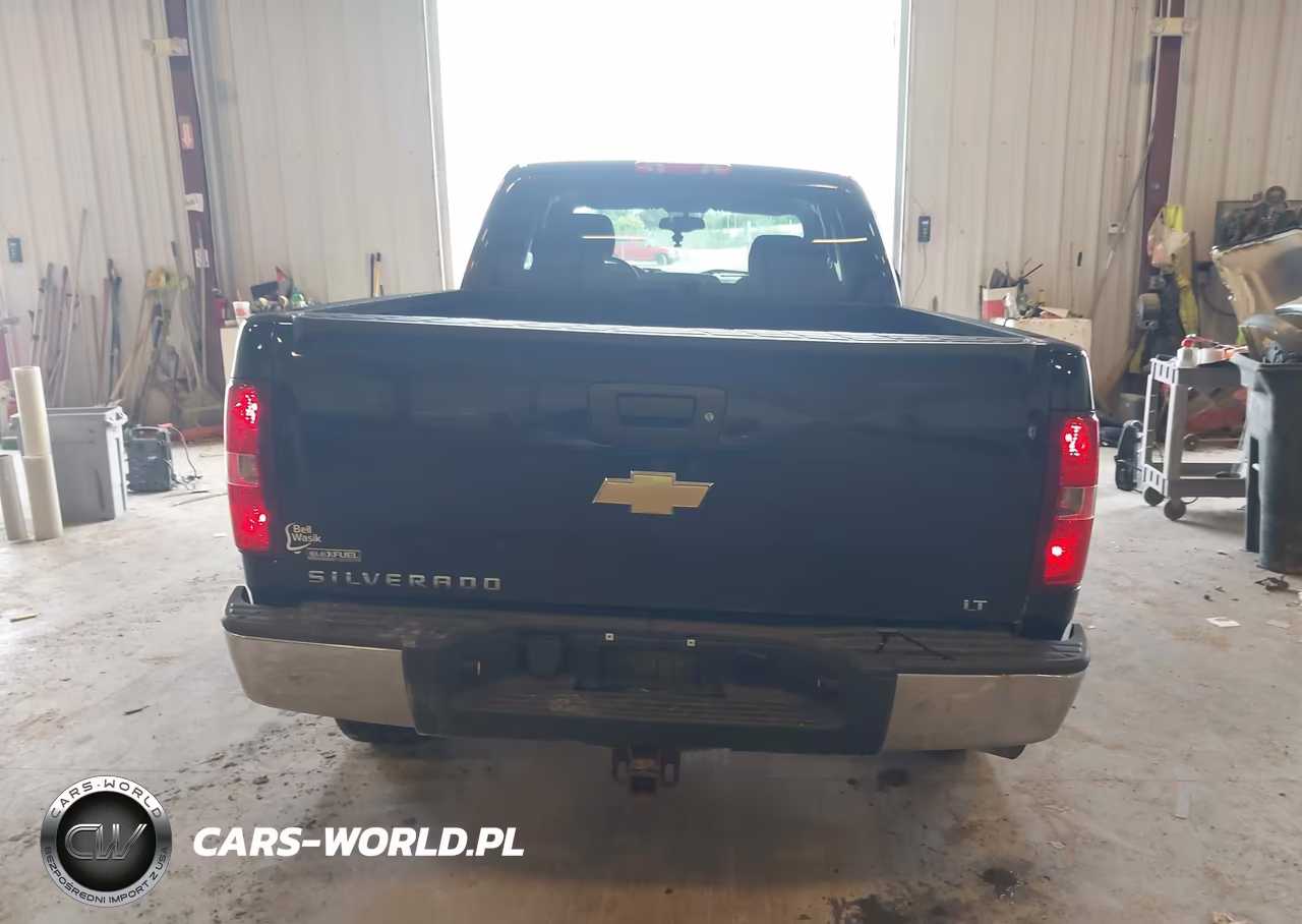 2009 Chevrolet Silverado 1500 Lt VIN:1GCEK29069Z282989 - 16