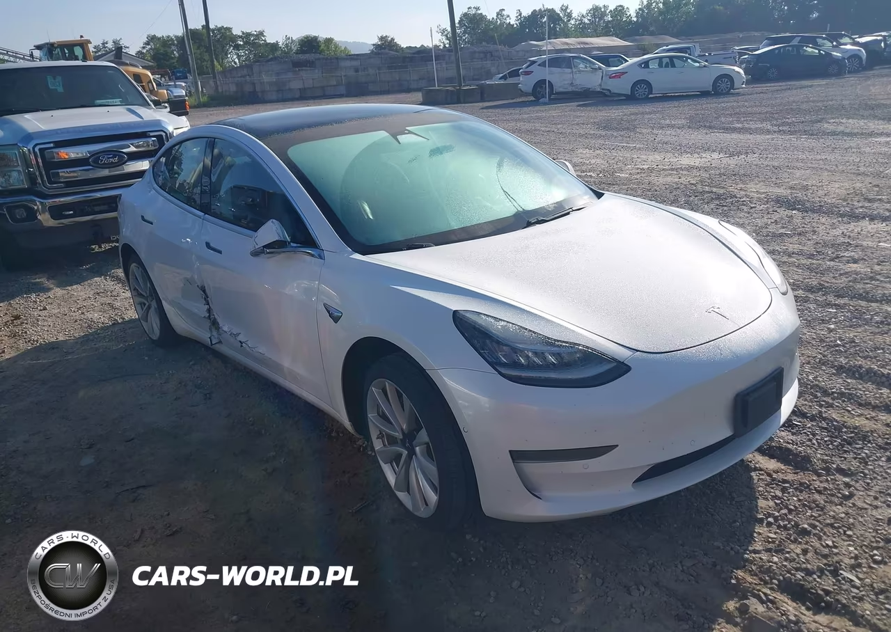 2019 Tesla Model 3 Long Range-Mid Range-Standard Range-Standard Range Plus VIN:5YJ3E1EA1KF466563 - 1
