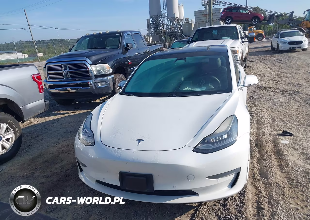 2019 Tesla Model 3 Long Range-Mid Range-Standard Range-Standard Range Plus VIN:5YJ3E1EA1KF466563 - 12