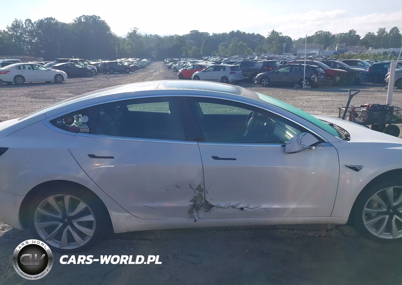 2019 Tesla Model 3 Long Range-Mid Range-Standard Range-Standard Range Plus VIN:5YJ3E1EA1KF466563 - 13