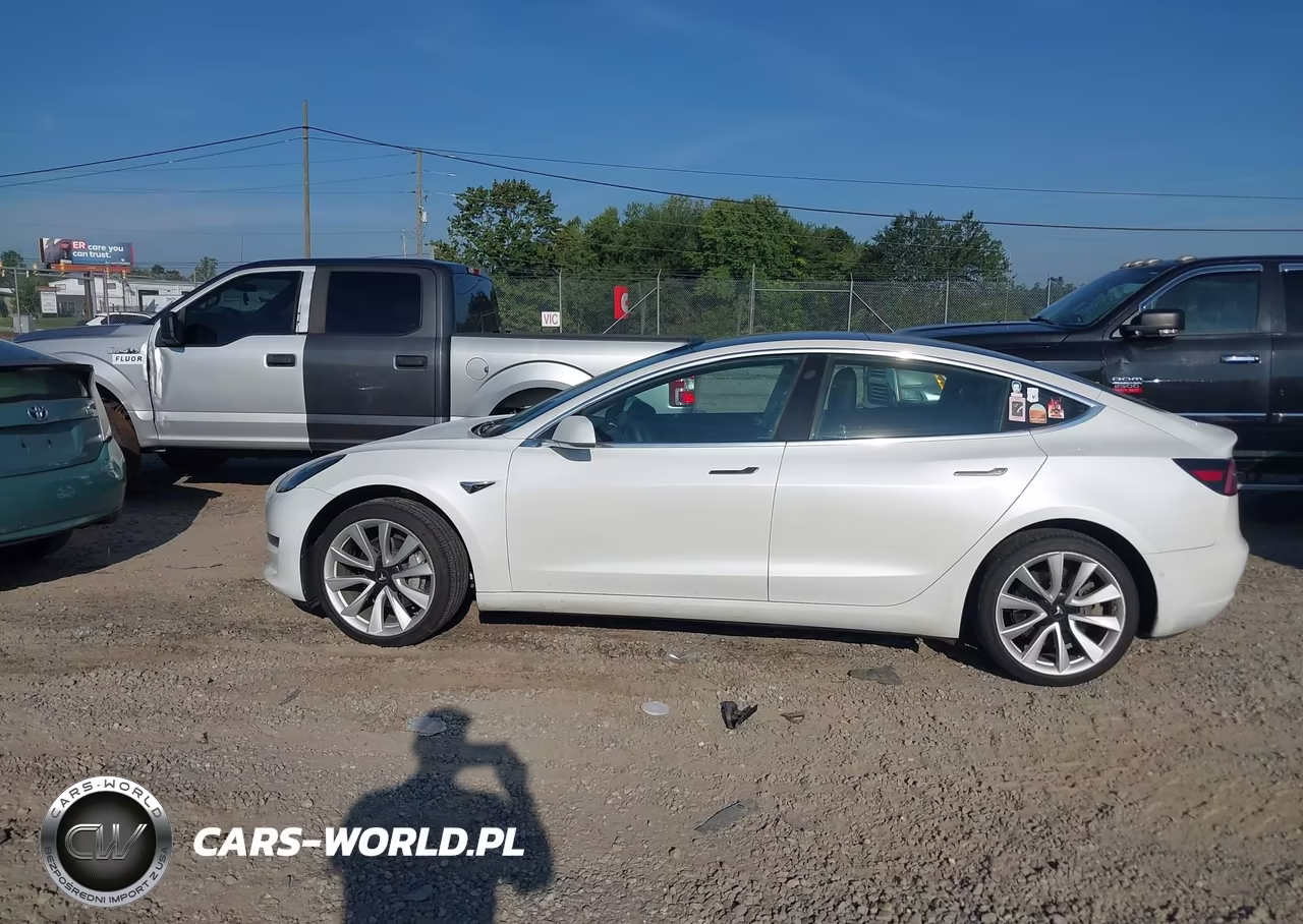 2019 Tesla Model 3 Long Range-Mid Range-Standard Range-Standard Range Plus VIN:5YJ3E1EA1KF466563 - 14