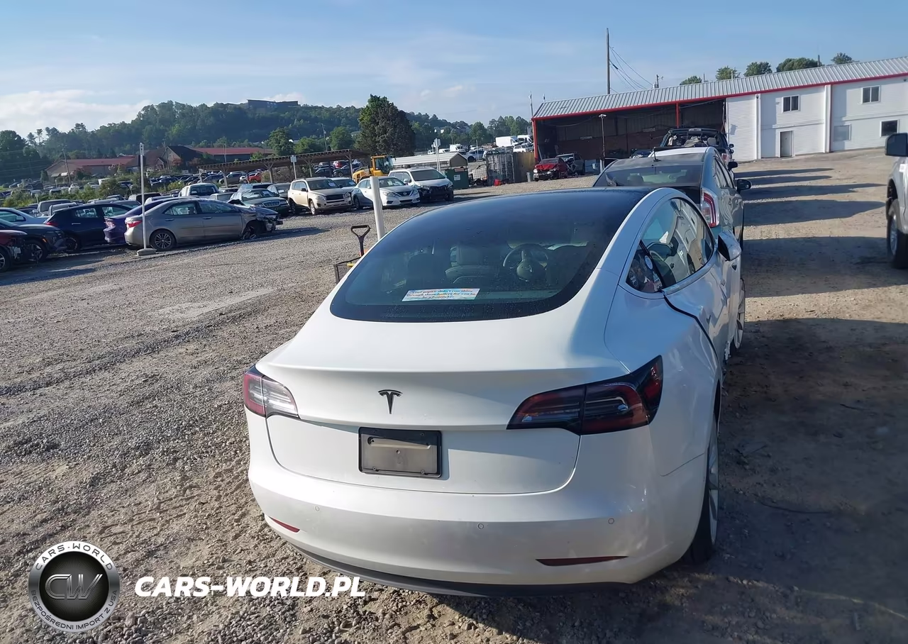 2019 Tesla Model 3 Long Range-Mid Range-Standard Range-Standard Range Plus VIN:5YJ3E1EA1KF466563 - 16