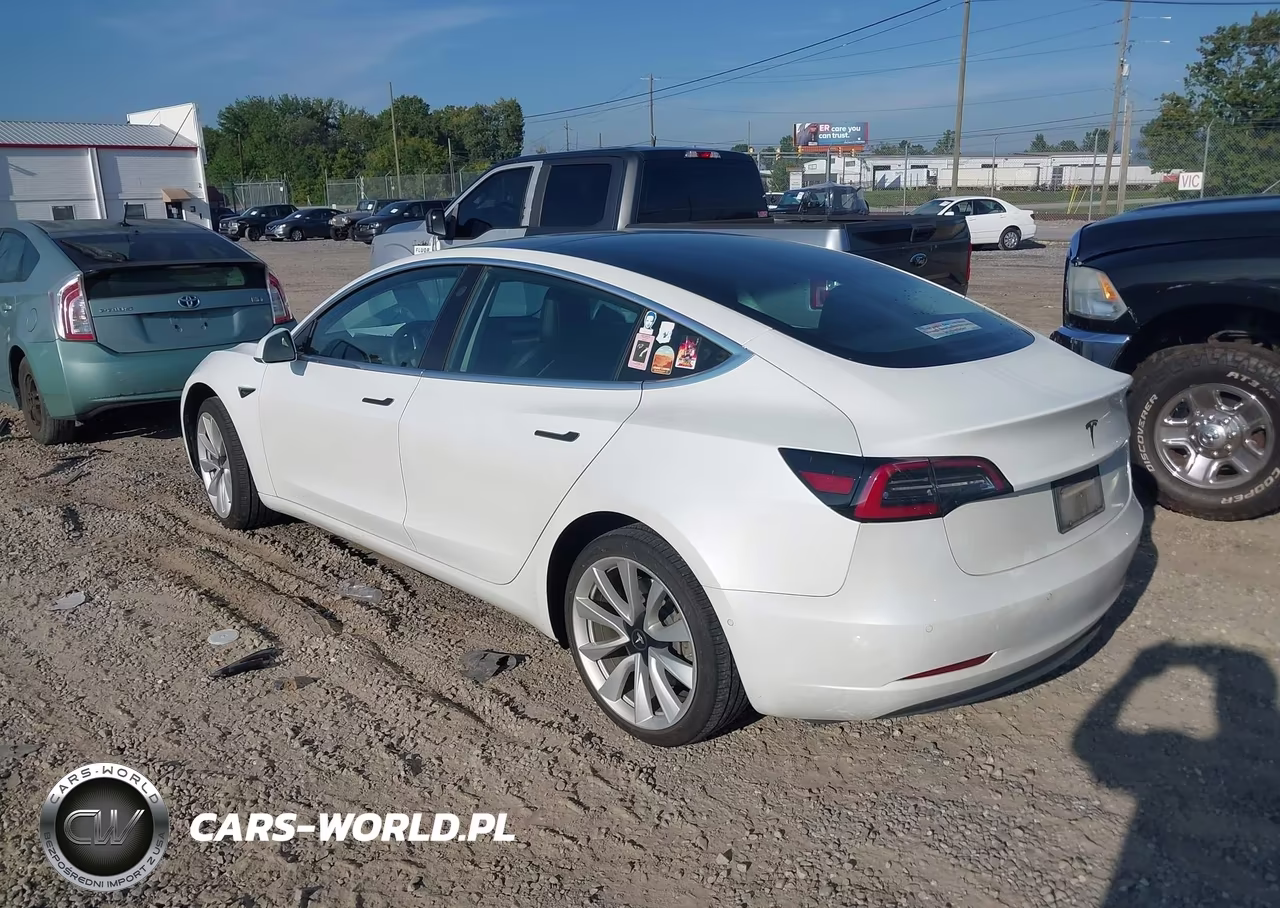 2019 Tesla Model 3 Long Range-Mid Range-Standard Range-Standard Range Plus VIN:5YJ3E1EA1KF466563 - 3