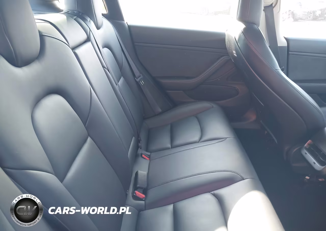 2019 Tesla Model 3 Long Range-Mid Range-Standard Range-Standard Range Plus VIN:5YJ3E1EA1KF466563 - 8