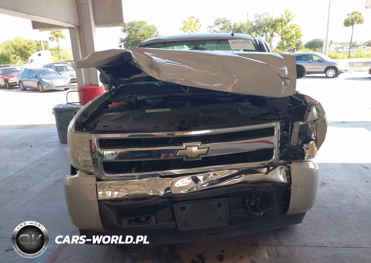2008 Chevrolet Silverado 1500 Work Truck VIN:1GCEC14X68Z315046 - 12