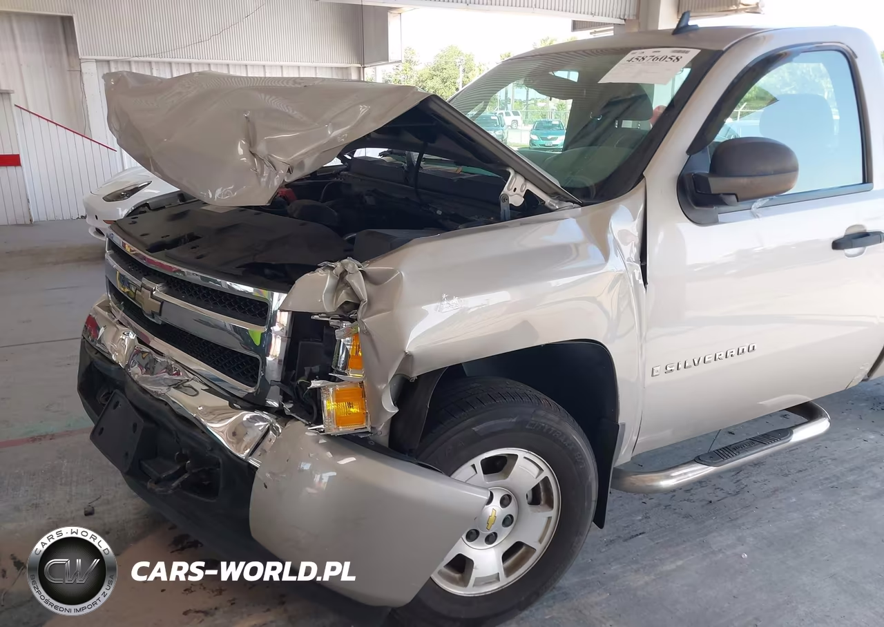 2008 Chevrolet Silverado 1500 Work Truck VIN:1GCEC14X68Z315046 - 6