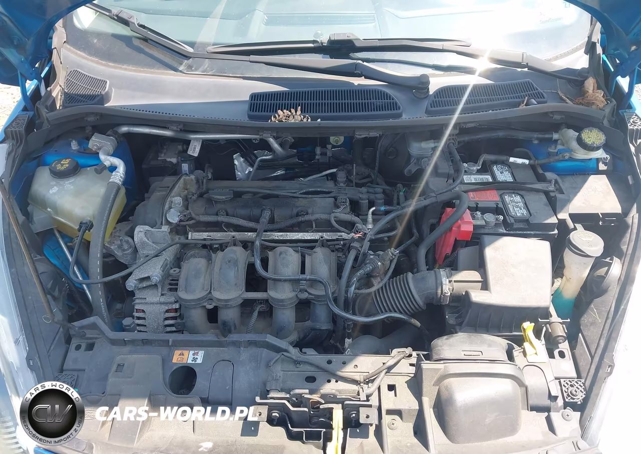 2014 Ford Fiesta Se VIN:3FADP4BJ0EM199636 - 10