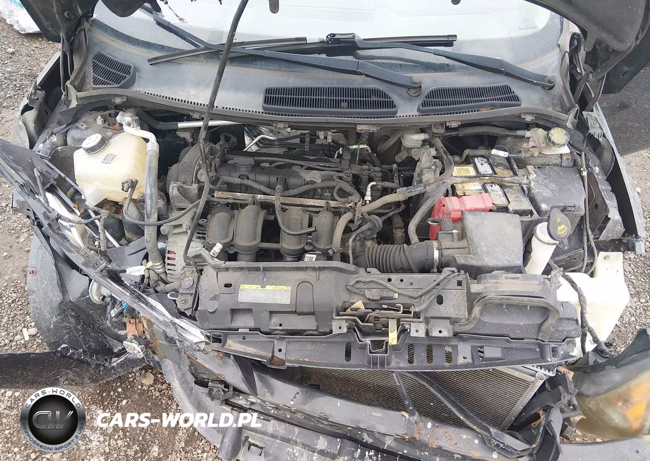 2011 Ford Fiesta Se VIN:3FADP4EJ3BM147974 - 10
