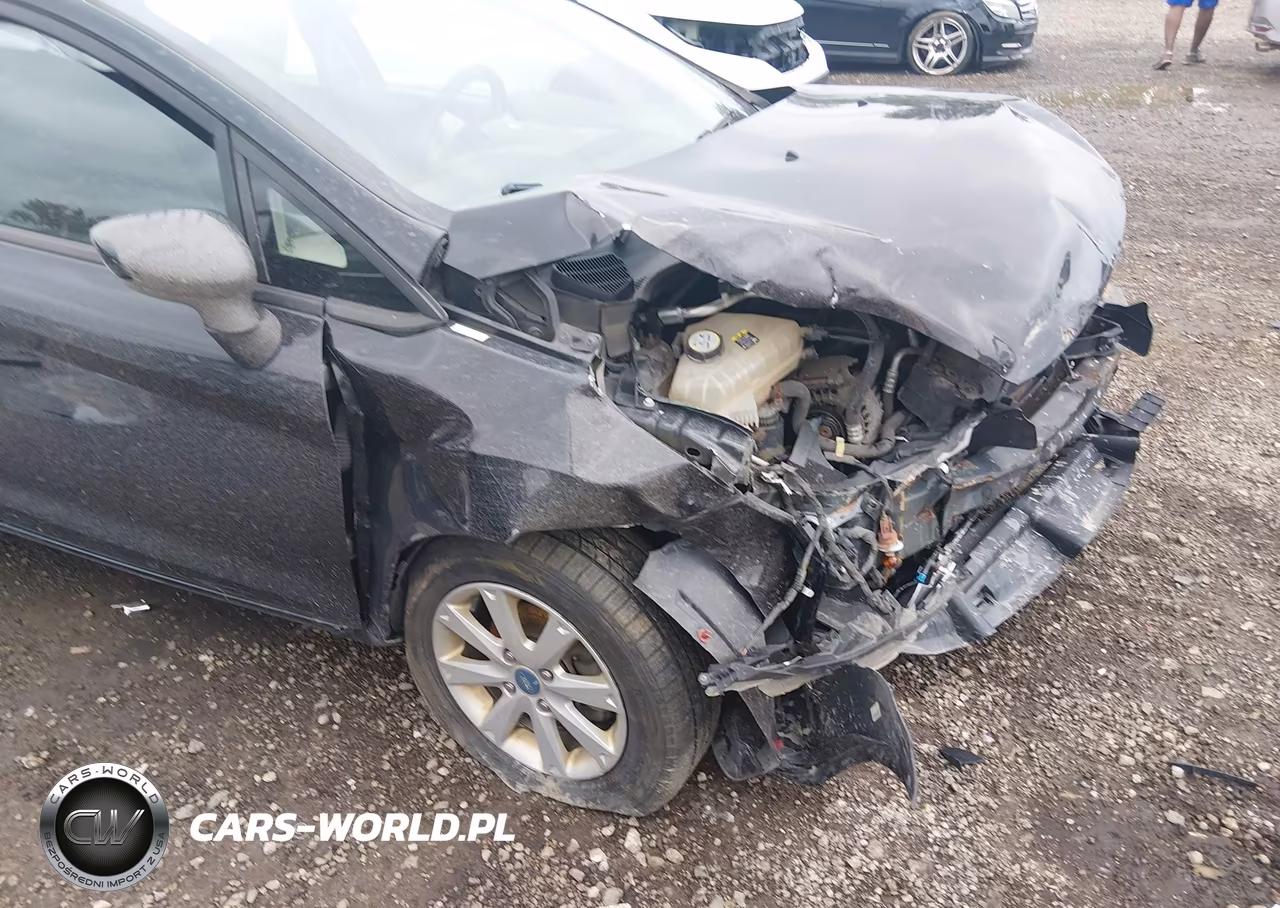 2011 Ford Fiesta Se VIN:3FADP4EJ3BM147974 - 19