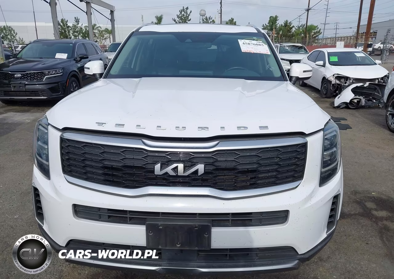 2022 Kia Telluride Ex VIN:5XYP34HC3NG255786 - 12