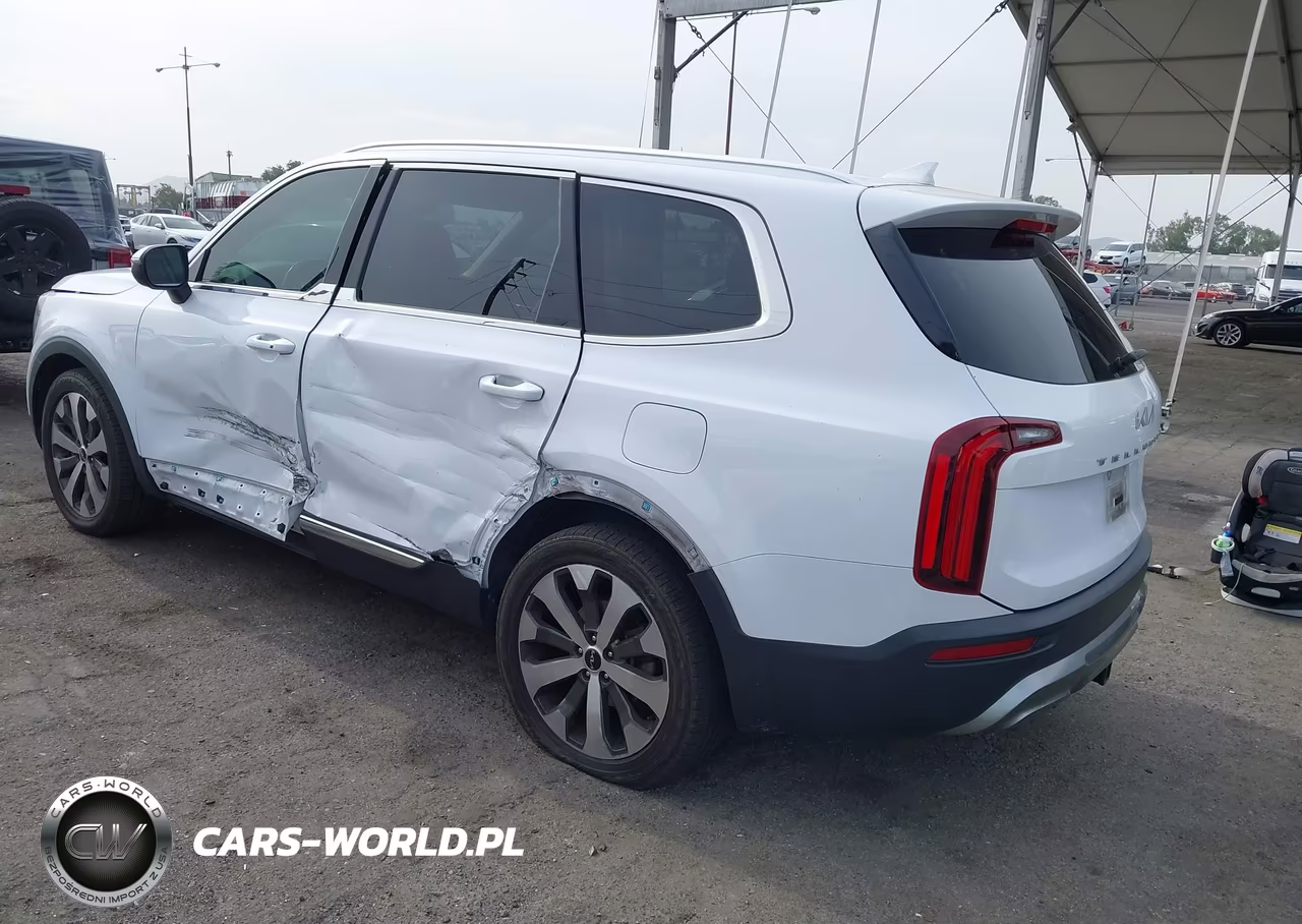2022 Kia Telluride Ex VIN:5XYP34HC3NG255786 - 3