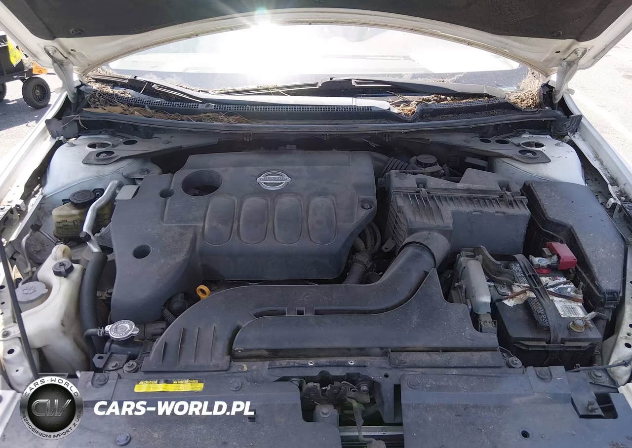 2010 Nissan Altima 2.5 S VIN:1N4AL2APXAN408941 - 10