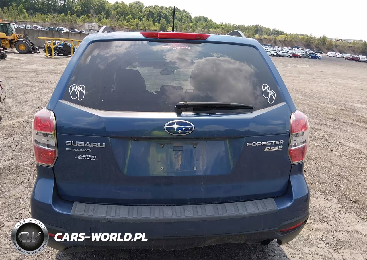 2014 Subaru Forester 2.5I Premium VIN:JF2SJAEC1EH477349 - 16