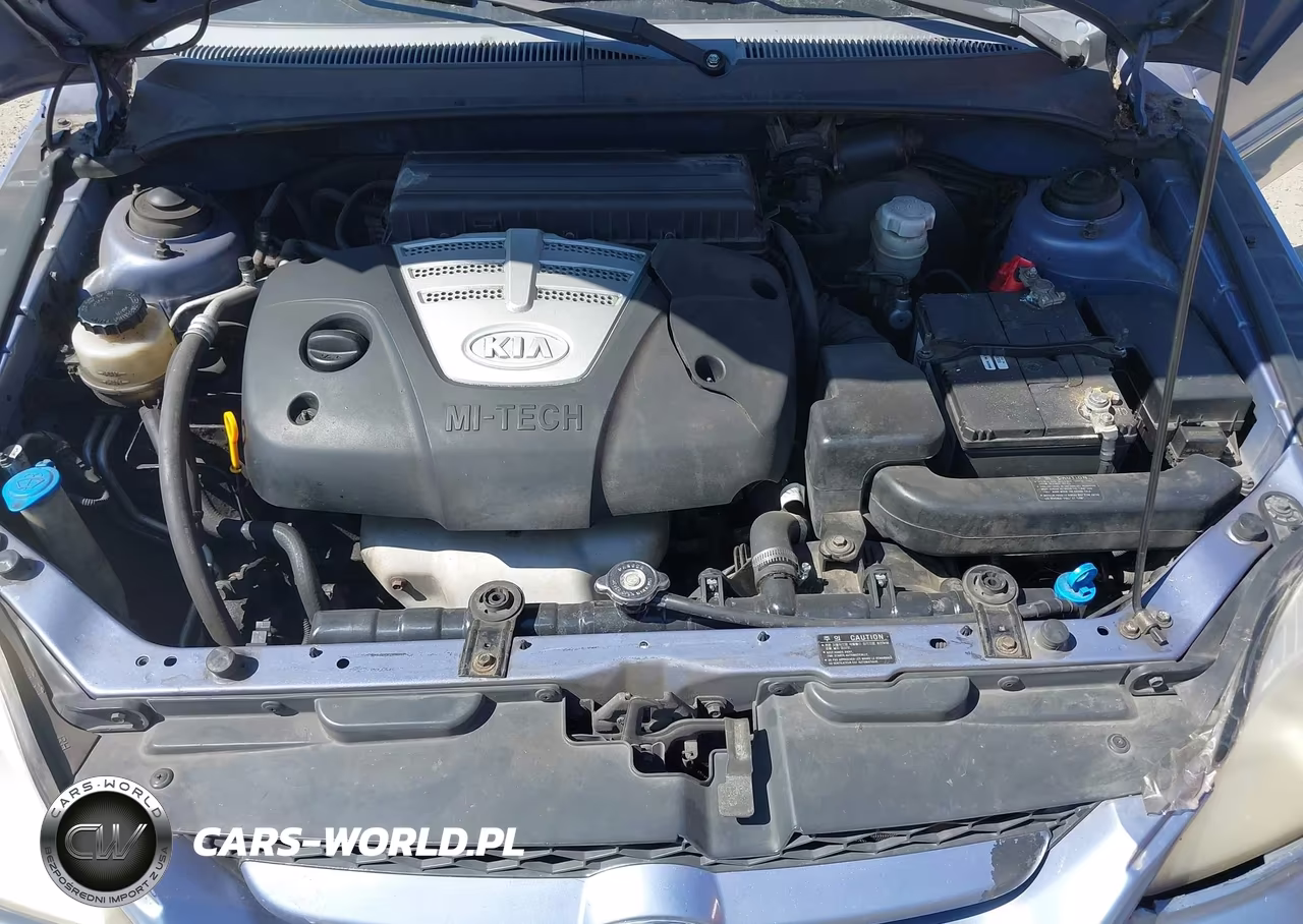 2003 Kia Rio VIN:KNADC125736249899 - 10