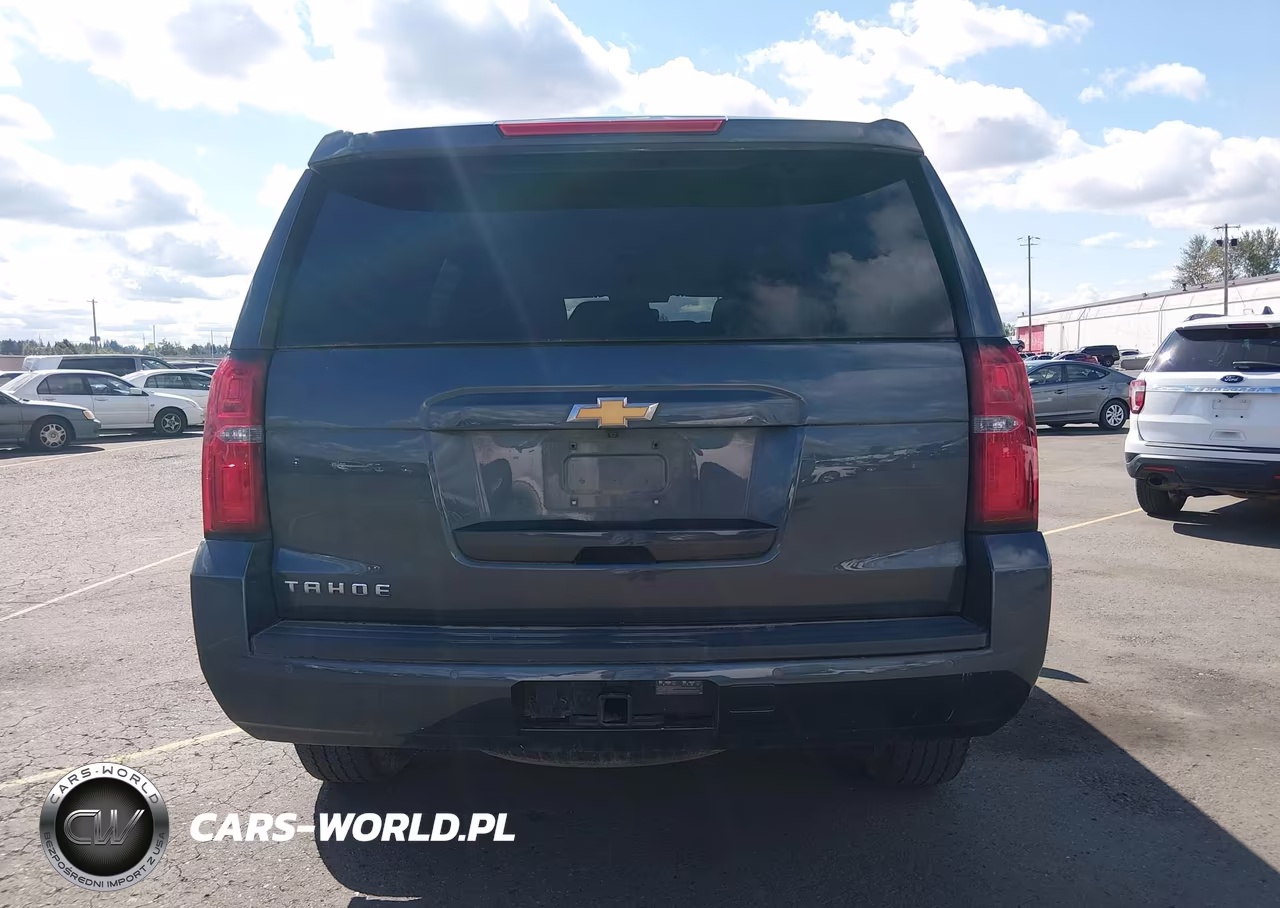 2020 Chevrolet Tahoe 4Wd Ls VIN:1GNSKAEC1LR106881 - 16