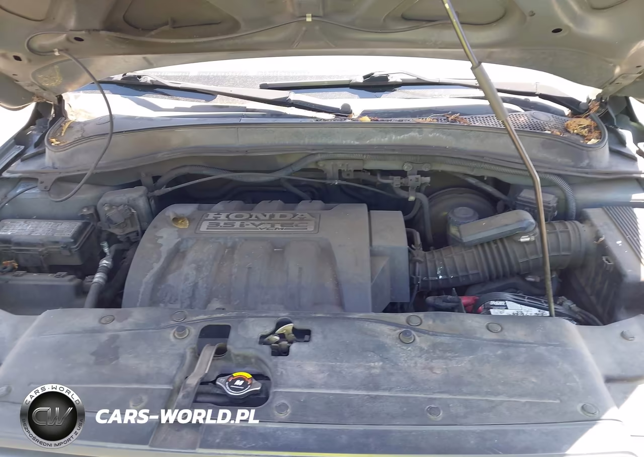 2007 Honda Pilot Ex-L VIN:5FNYF28657B009763 - 10