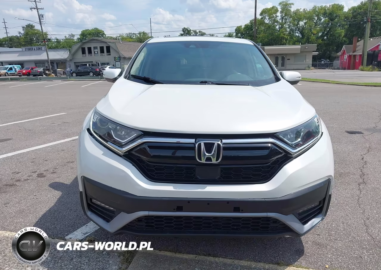 2019 Honda Cr-V Ex-L VIN:5J6RW1H8XKA037294 - 12