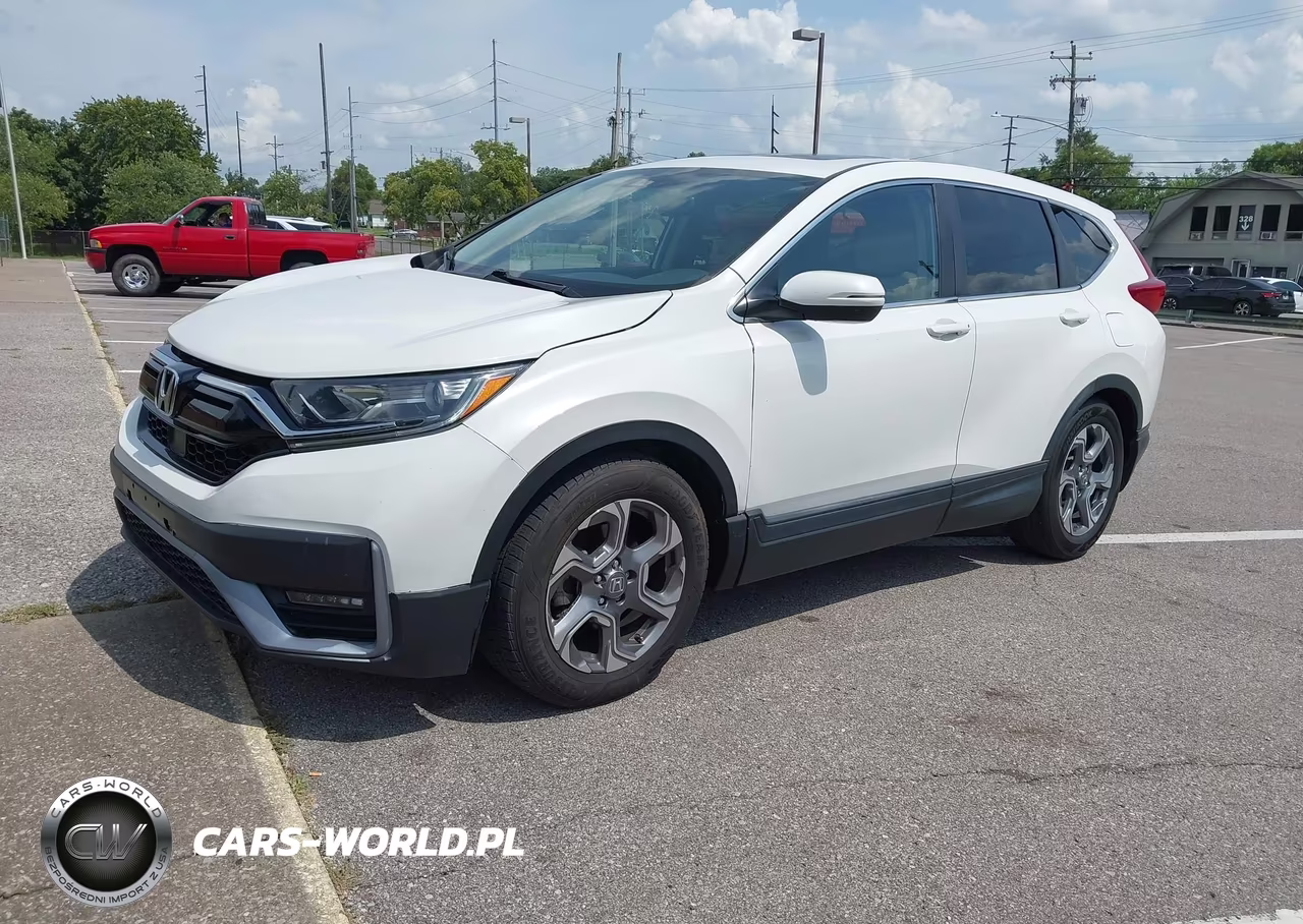 2019 Honda Cr-V Ex-L VIN:5J6RW1H8XKA037294 - 2