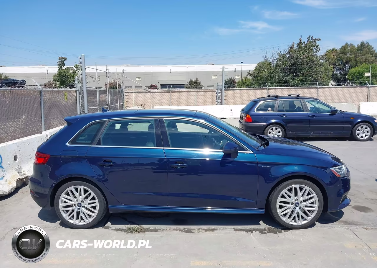 2018 Audi A3 E-Tron 1.4T Premium-1.4T Tech Premium VIN:WAUTPBFF0JA059798 - 13
