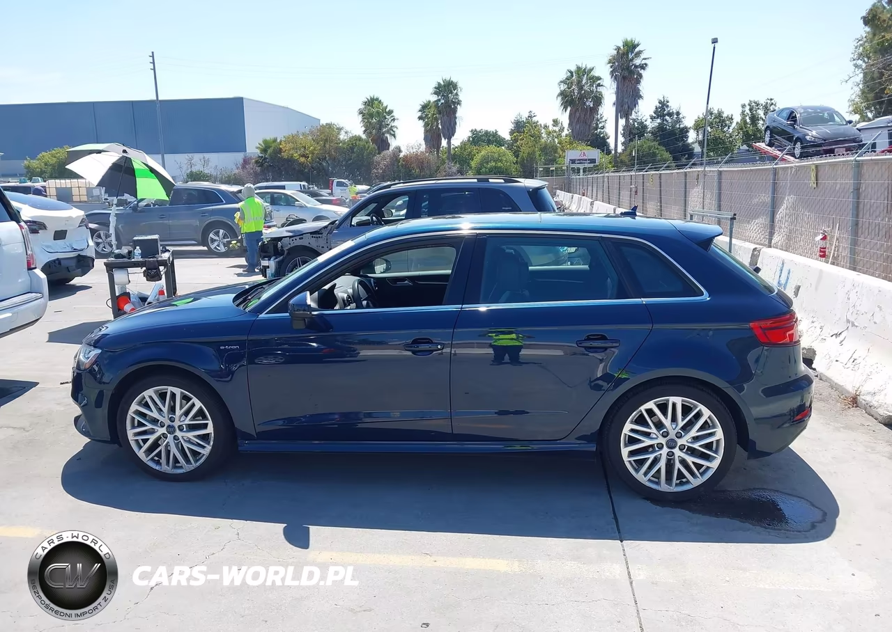 2018 Audi A3 E-Tron 1.4T Premium-1.4T Tech Premium VIN:WAUTPBFF0JA059798 - 14