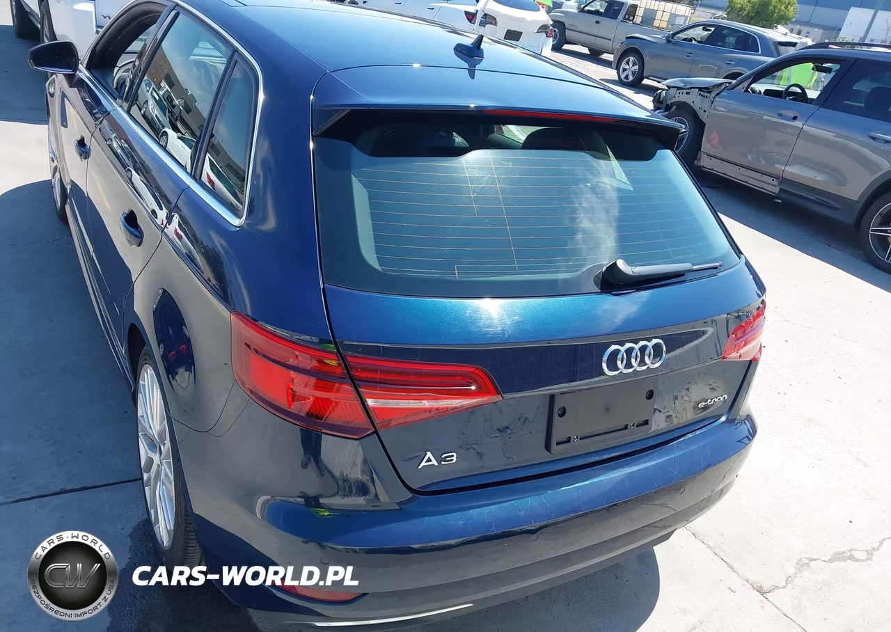 2018 Audi A3 E-Tron 1.4T Premium-1.4T Tech Premium VIN:WAUTPBFF0JA059798 - 16