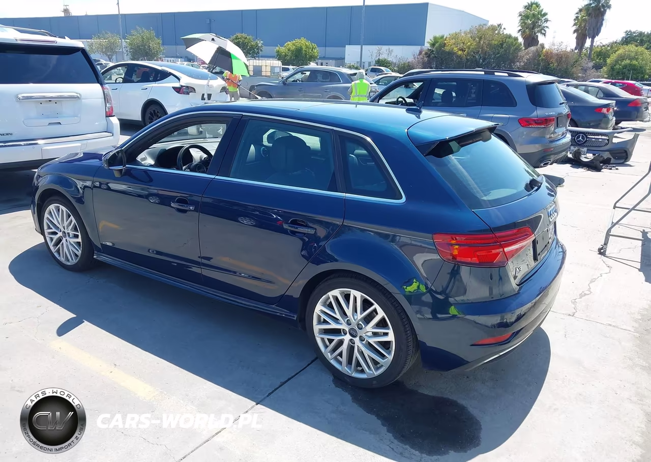 2018 Audi A3 E-Tron 1.4T Premium-1.4T Tech Premium VIN:WAUTPBFF0JA059798 - 3