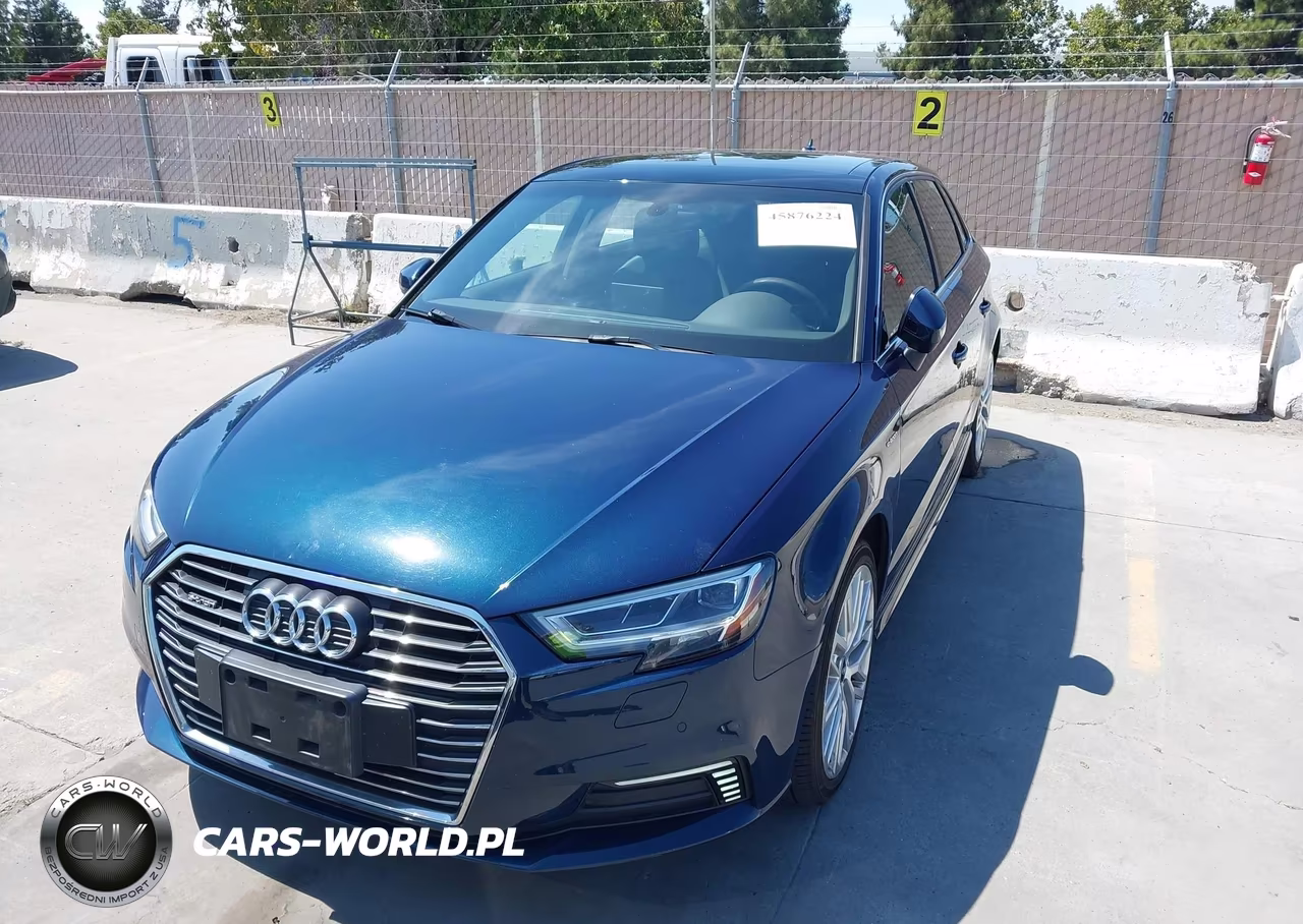 2018 Audi A3 E-Tron 1.4T Premium-1.4T Tech Premium VIN:WAUTPBFF0JA059798 - 6