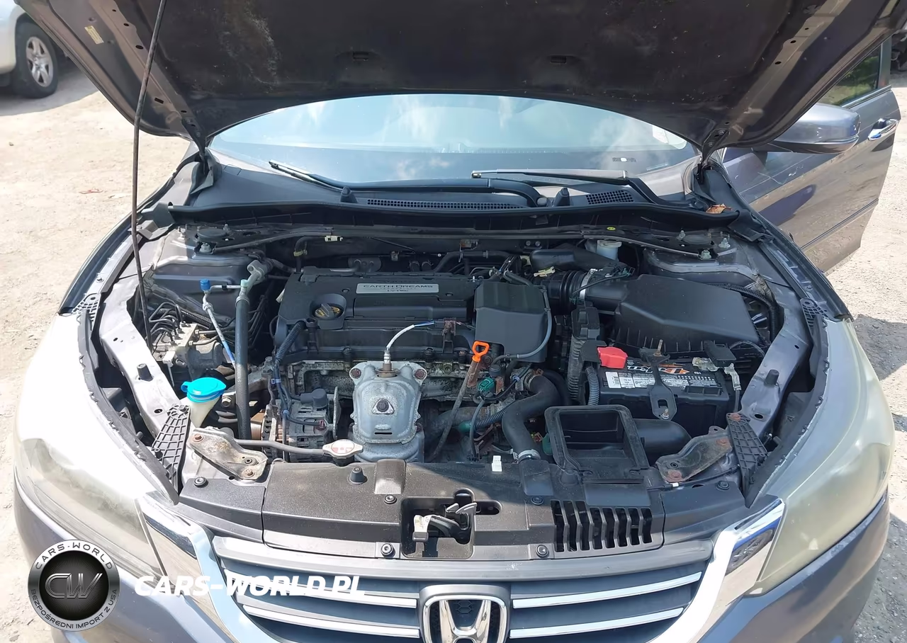 2014 Honda Accord Ex-L VIN:1HGCR2F88EA205628 - 10