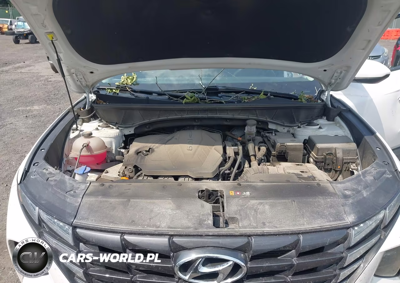 2024 Hyundai Tucson Sel VIN:5NMJBCDE4RH426583 - 10