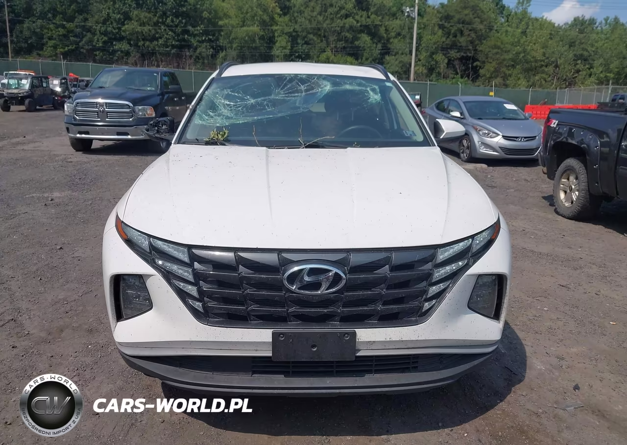 2024 Hyundai Tucson Sel VIN:5NMJBCDE4RH426583 - 12