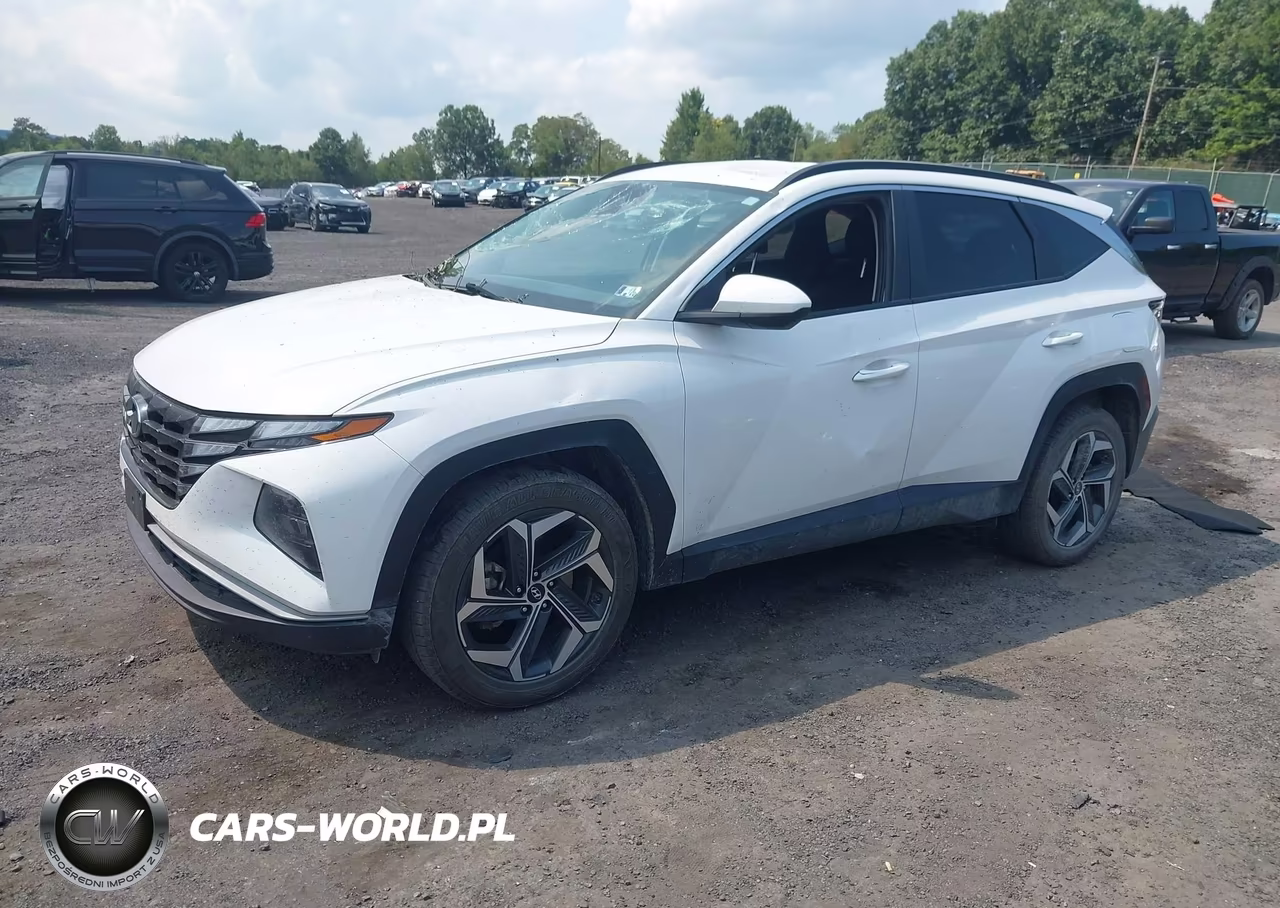 2024 Hyundai Tucson Sel VIN:5NMJBCDE4RH426583 - 2