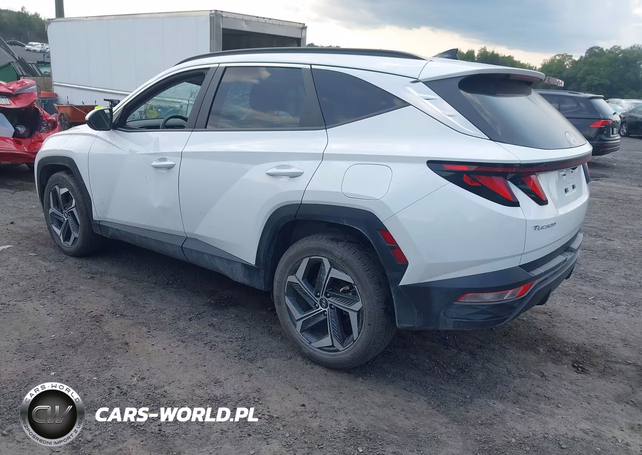 2024 Hyundai Tucson Sel VIN:5NMJBCDE4RH426583 - 3