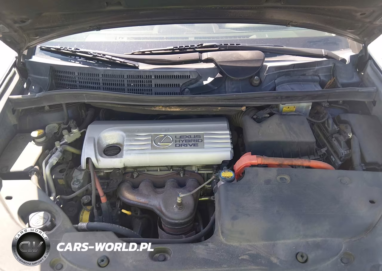 2010 Lexus Hs 250H Premium VIN:JTHBB1BA6A2005870 - 10