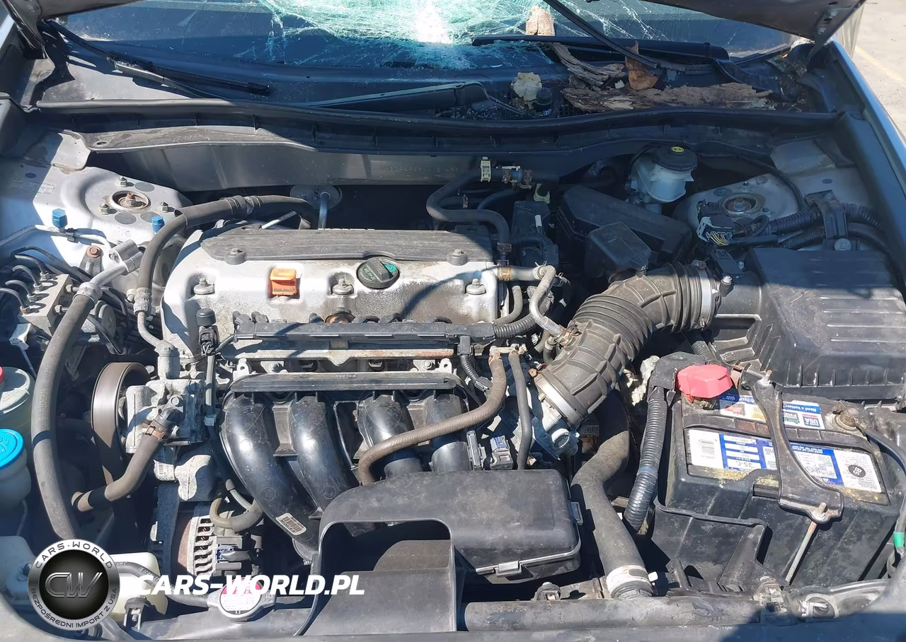 2010 Honda Accord 2.4 Lx VIN:1HGCP2F39AA121466 - 10