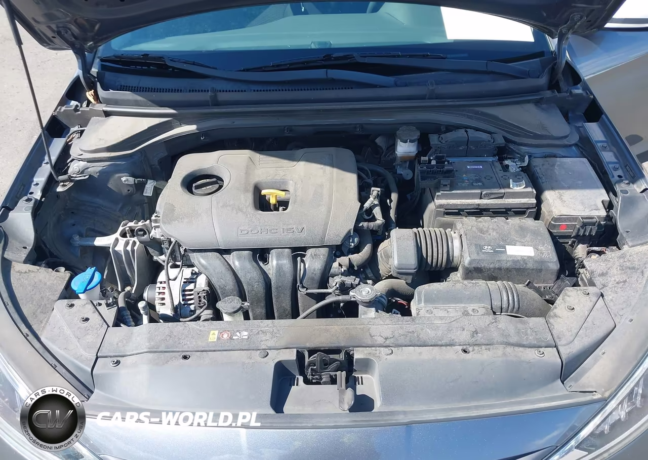 2019 Hyundai Elantra Se VIN:5NPD74LF5KH476576 - 10