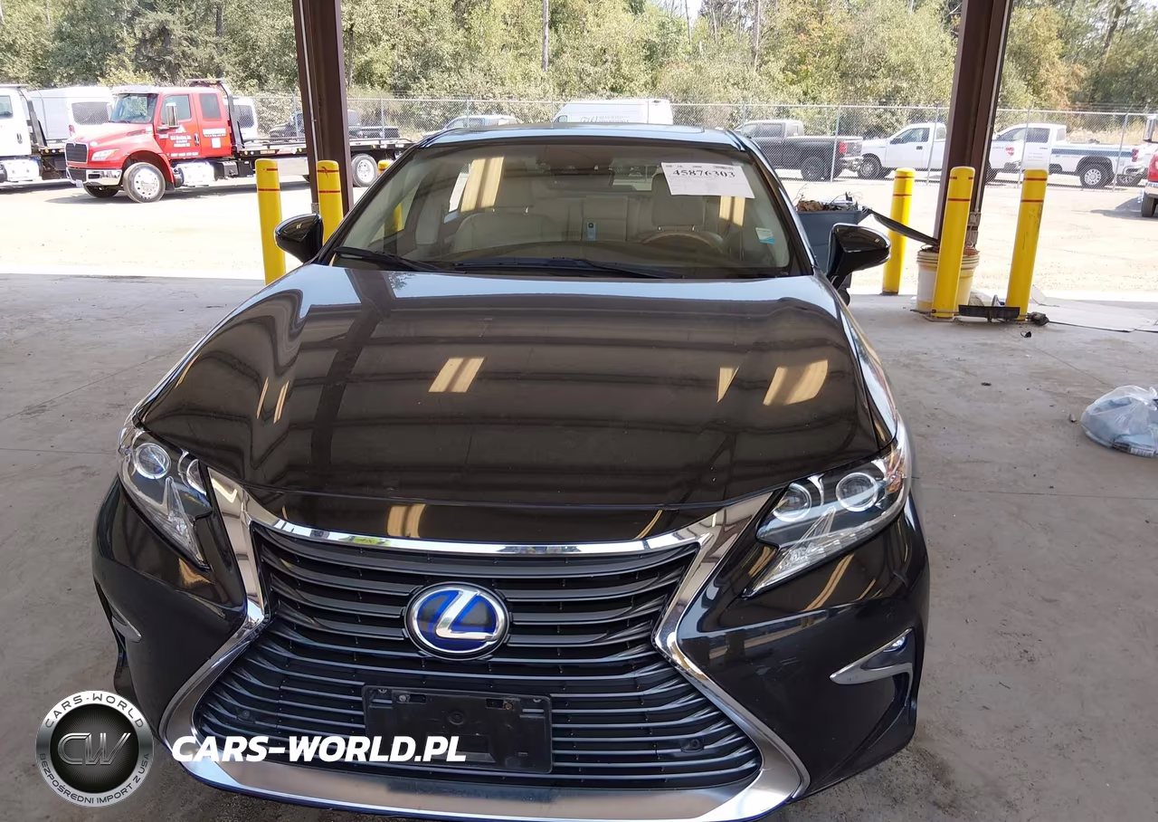 2017 Lexus Es 300H VIN:JTHBW1GG1H2145045 - 13
