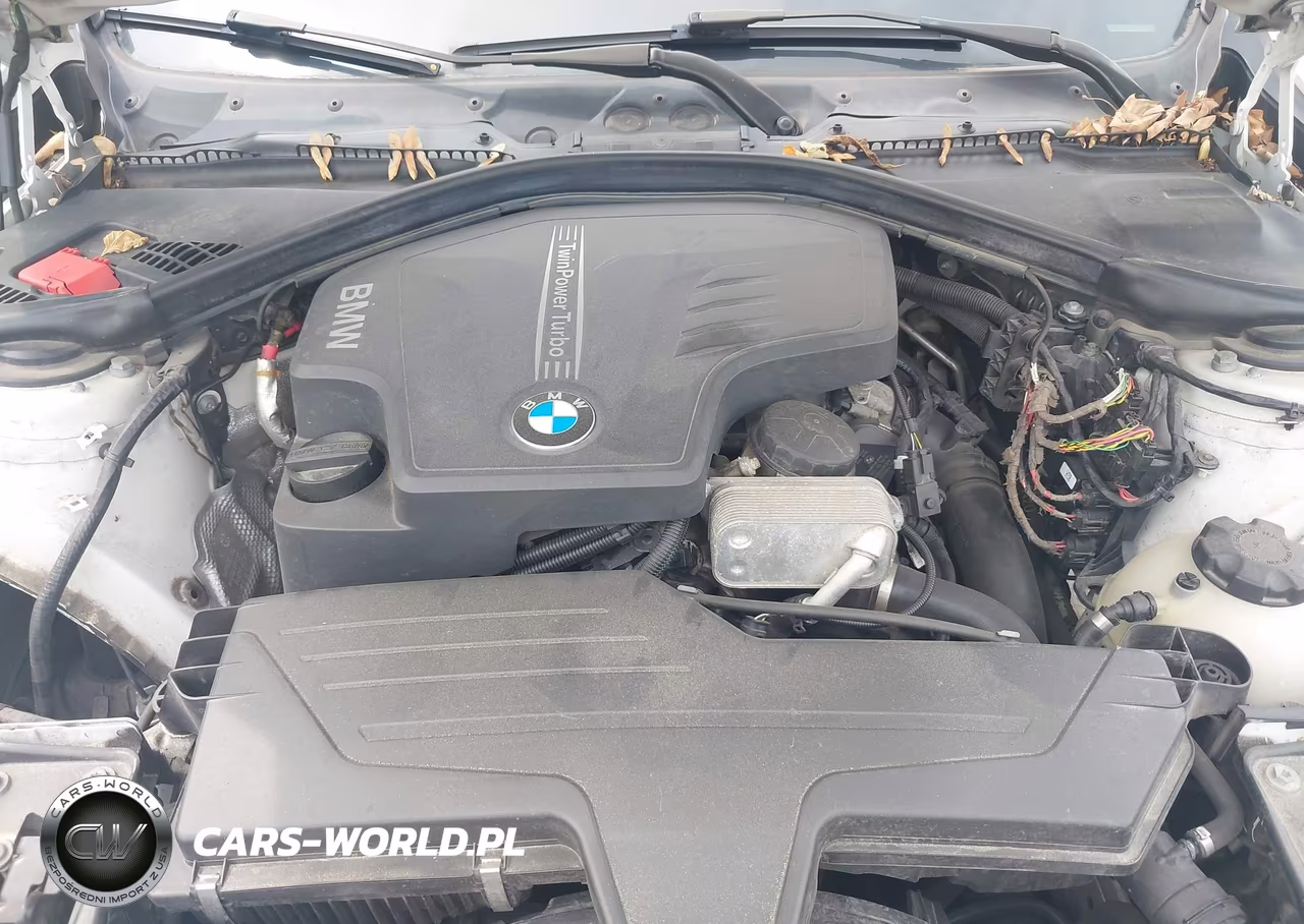 2014 BMW 320I xDrive VIN:WBA3C3C57EF983516 - 10