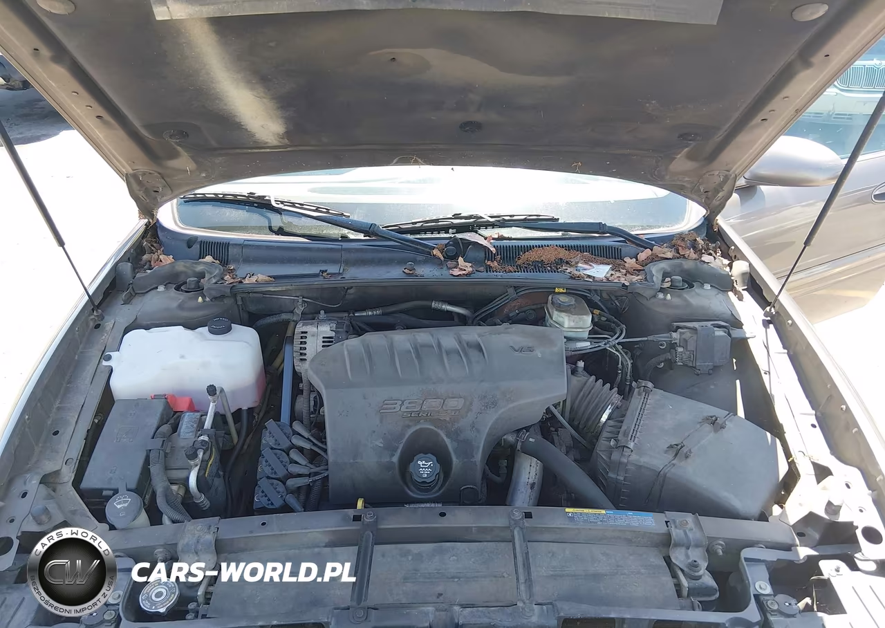 2003 Buick Lesabre Custom VIN:1G4HP52K23U191598 - 10
