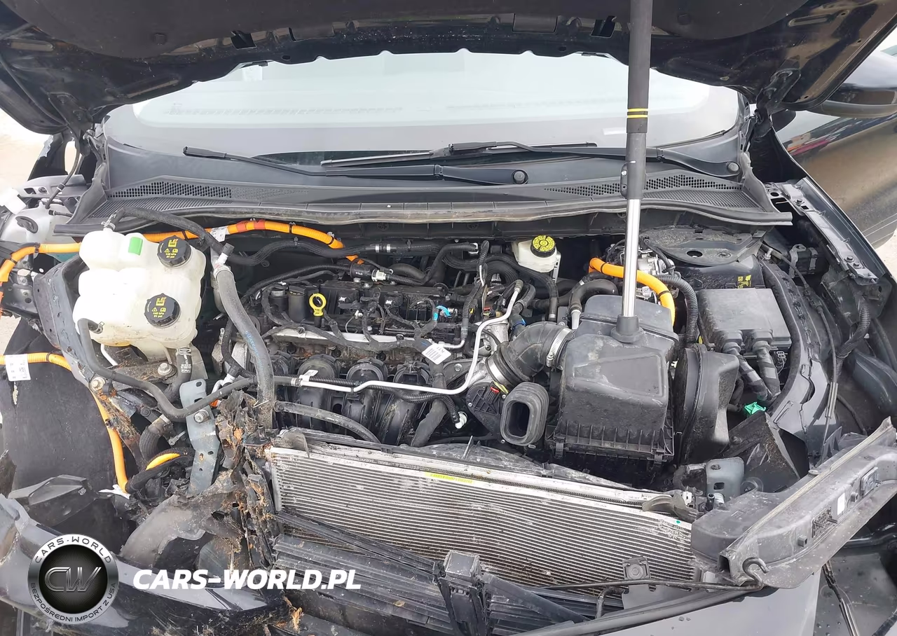 2021 Ford Escape Se Hybrid VIN:1FMCU0BZ5MUA37245 - 10